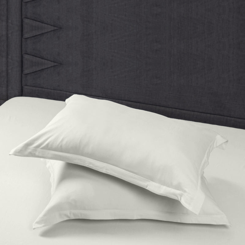 Bodycomfy 100% Cotton Hosiery King Size Fitted Bedsheet – Solid